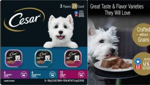 Cesar Gourmet Wet Dog Food