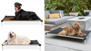 K9 Ballistics Indestructible Elevated Dog Bed