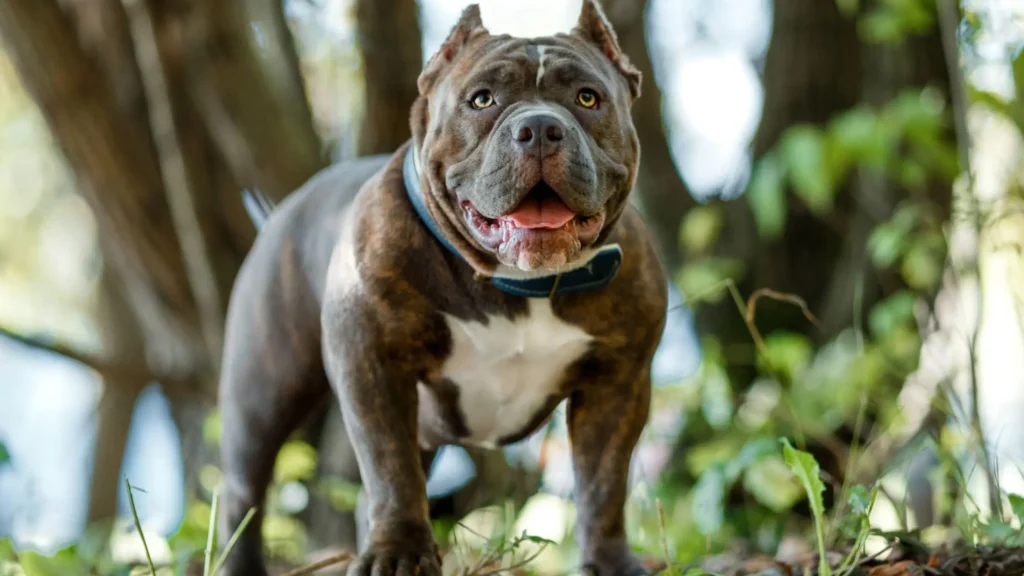 top 10 strongest dog breeds in the world