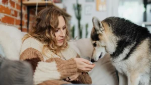 woman feeding dog treats