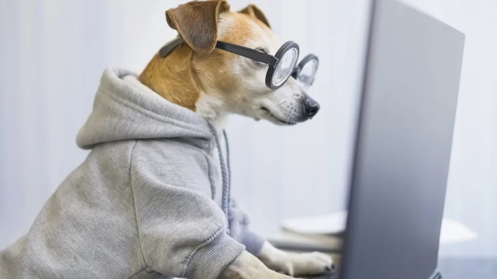 Most Intelligent Dog Breeds