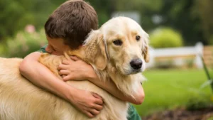 boy and dog