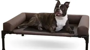 K&H Pet Products Bolstered Elevated Dog Bed