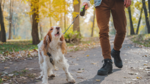 dog with man