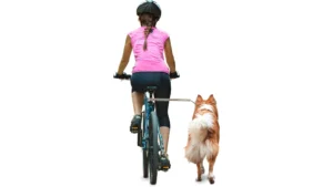 WalkyDog Plus Hands-Free Dog Bike Leash