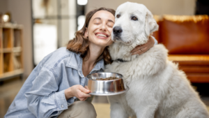 dog with high calorie food